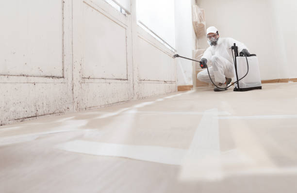 24/7 Emergency Basement Mold Remediation experts in Moshannon, PA